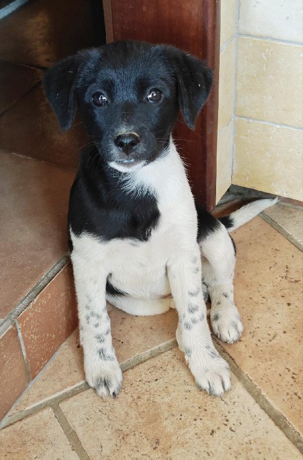 Lory cerca una 🏡 Foto 2