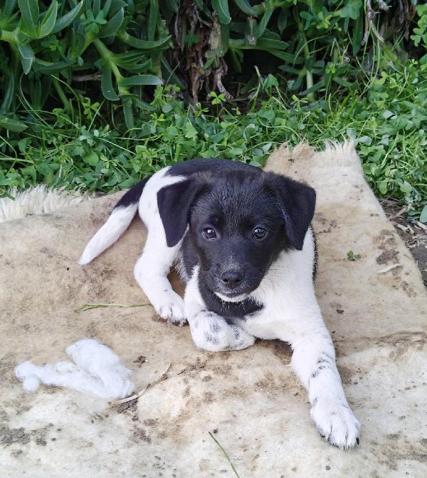 Lory cerca una 🏡 Foto 3