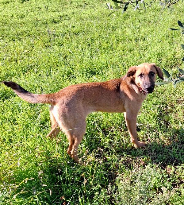 Mora... Ma avete visto che bella? Foto 3