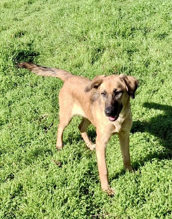 Mora... Ma avete visto che bella? Foto 4