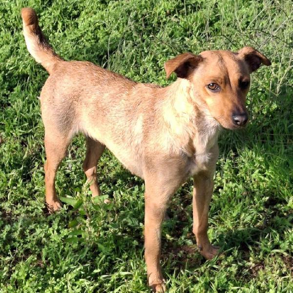 💜 JASMINE CERCA CASA 💜 Foto 3