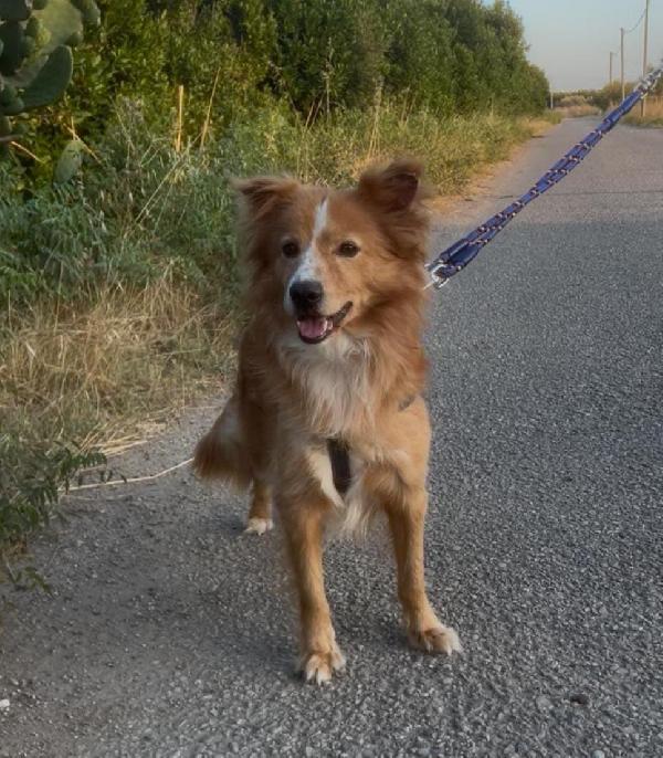 Ricky...quanto può essere dolce... Foto 5