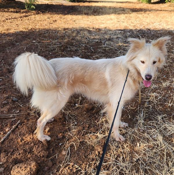 Vera Quasi 3Anni Salvata Col Suo Cucciolo.cosenza