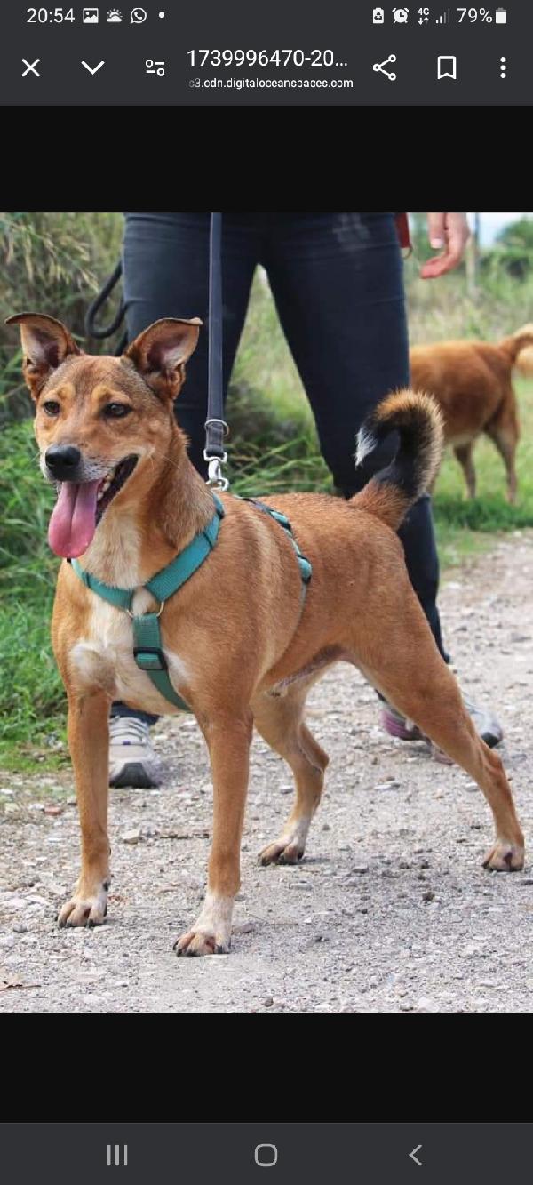 Bruno Salvato 4Anni Fa Dai Suoi Aguzzini Napoli