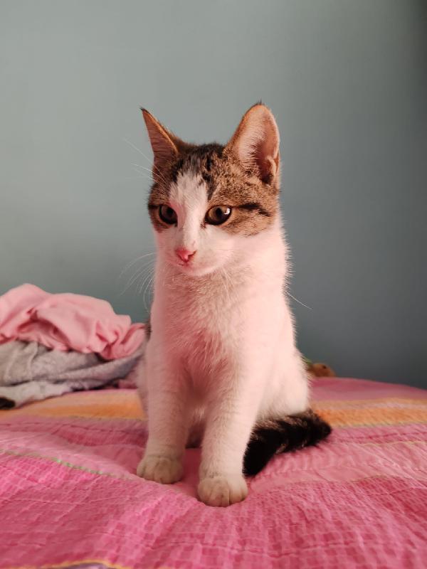 UN PICCOLO CECE Foto 2