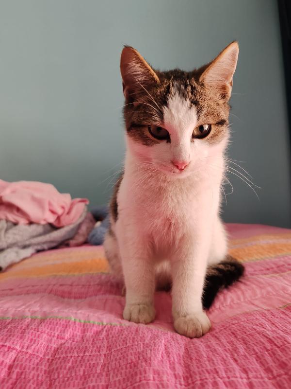 UN PICCOLO CECE Foto 4