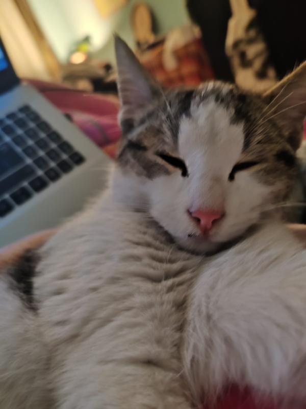 UN PICCOLO CECE Foto 5