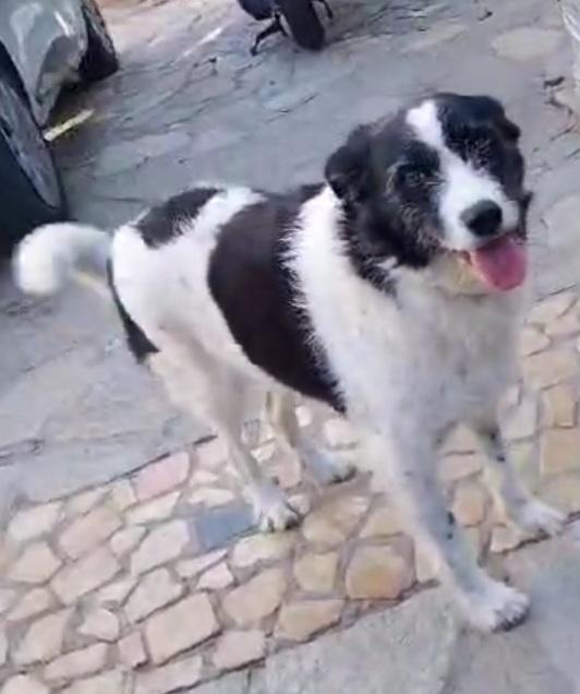 Ambra 5Anni Rimasta Sola 3Anni Fa Napoli 