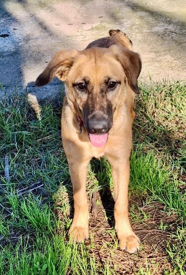 🌺MORA🌺 cerca la felicità di una famiglia♥️ Foto 6