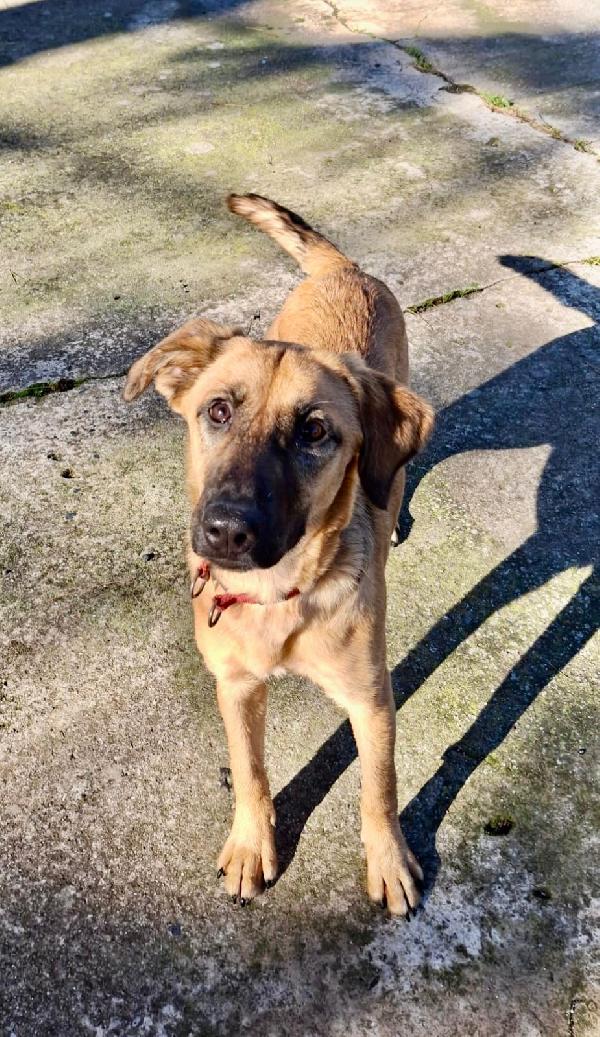 🌺MORA🌺 cerca la felicità di una famiglia♥️ Foto 7