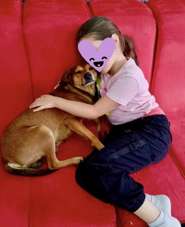 Ninja meraviglioso piccolo cagnolino cerca famiglia  Foto 8