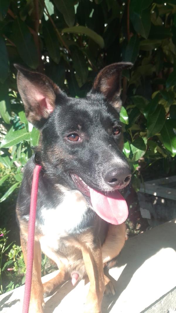 Timothy Splendido Giovanotto Cerca Famiglia 