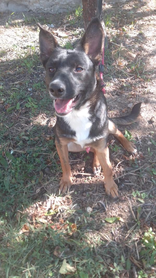 Timothy splendido giovanotto cerca famiglia  Foto 2