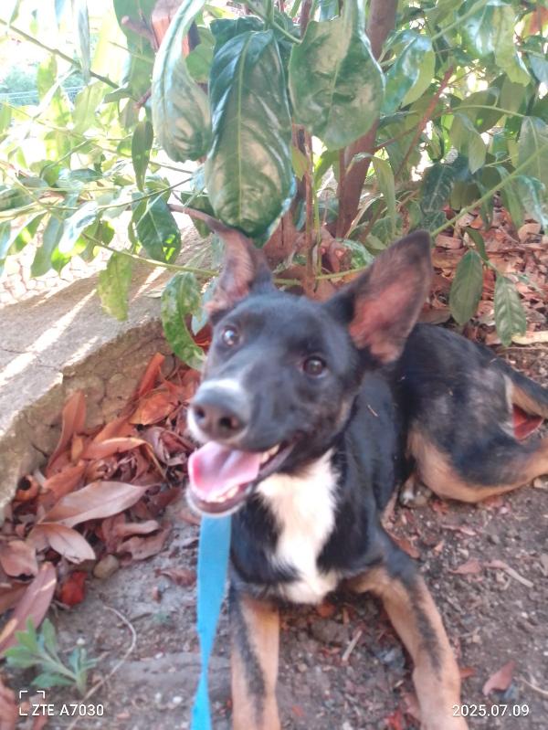 Timothy splendido giovanotto cerca famiglia  Foto 4