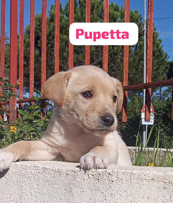 Pupetta 2 Mesi E Mezzo Taglia Medio Piccola 