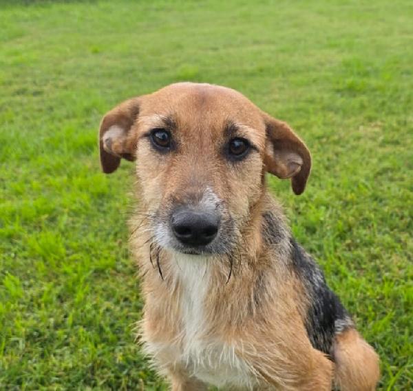  Susy Un Piccolo Tesoro In Attesa Di Amore 