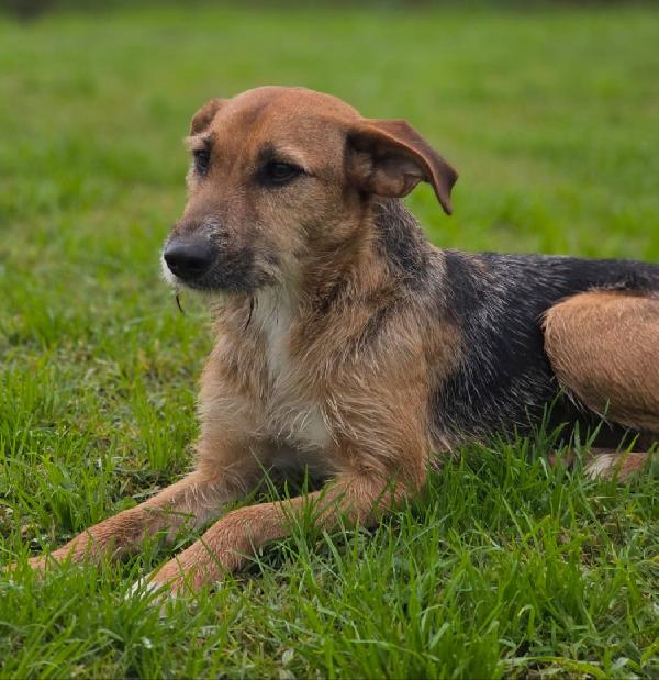  SUSY UN PICCOLO TESORO IN ATTESA DI AMORE  Foto 2