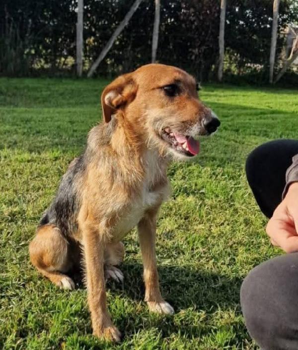  SUSY UN PICCOLO TESORO IN ATTESA DI AMORE  Foto 5