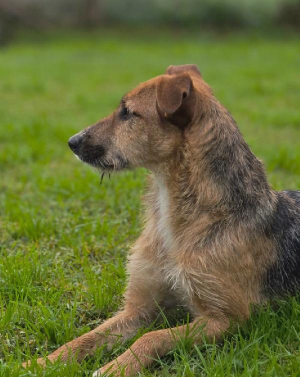  SUSY UN PICCOLO TESORO IN ATTESA DI AMORE  Foto 6