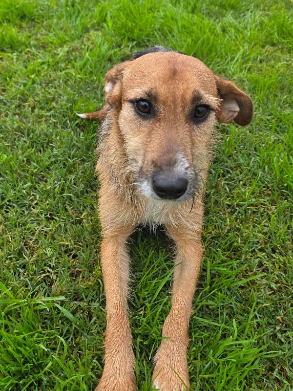  SUSY UN PICCOLO TESORO IN ATTESA DI AMORE  Foto 7