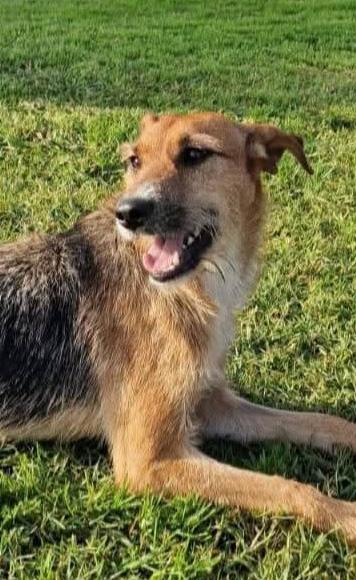  SUSY UN PICCOLO TESORO IN ATTESA DI AMORE  Foto 8