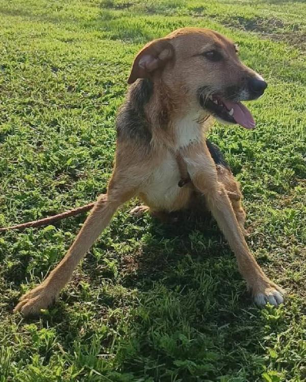  SUSY UN PICCOLO TESORO IN ATTESA DI AMORE  Foto 9