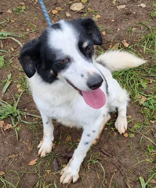 Cassian Nonnino Arzillo