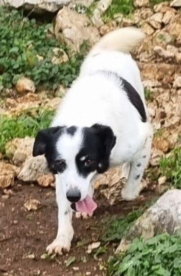 Cassian nonnino arzillo Foto 3