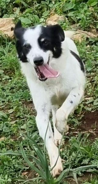 Cassian nonnino arzillo Foto 4