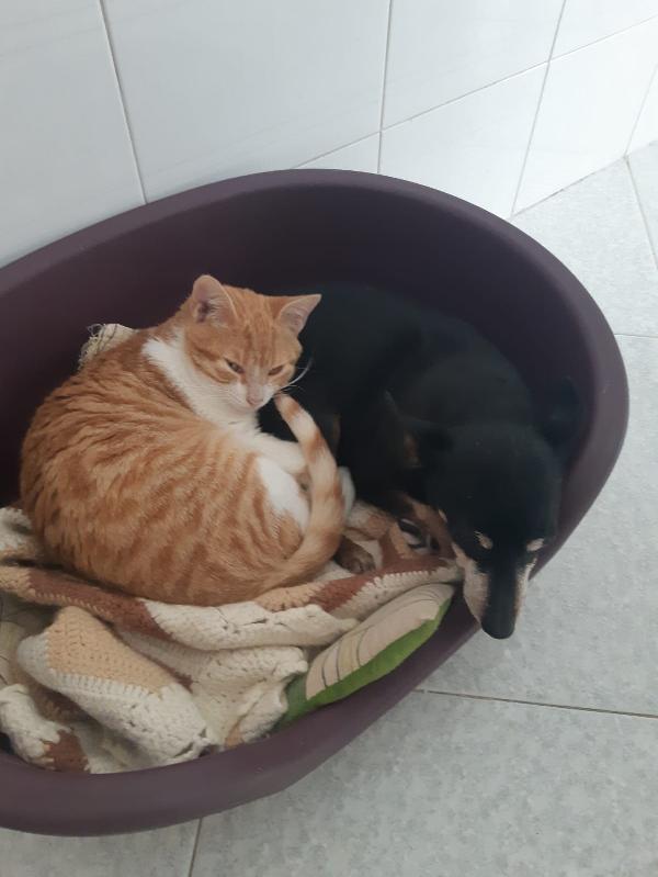 Una famiglia per Orange  Foto 5