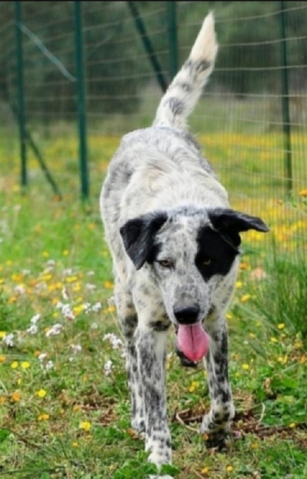 Furia 3Anni Riservato Ed Invisibile. Puglia