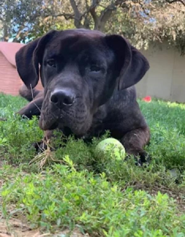 Corso 4Anni Dal Balcone Al Rifugio.firenze