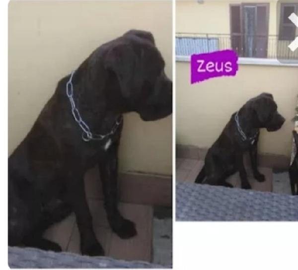 Corso 4anni dal balcone al rifugio.FIRENZE Foto 2