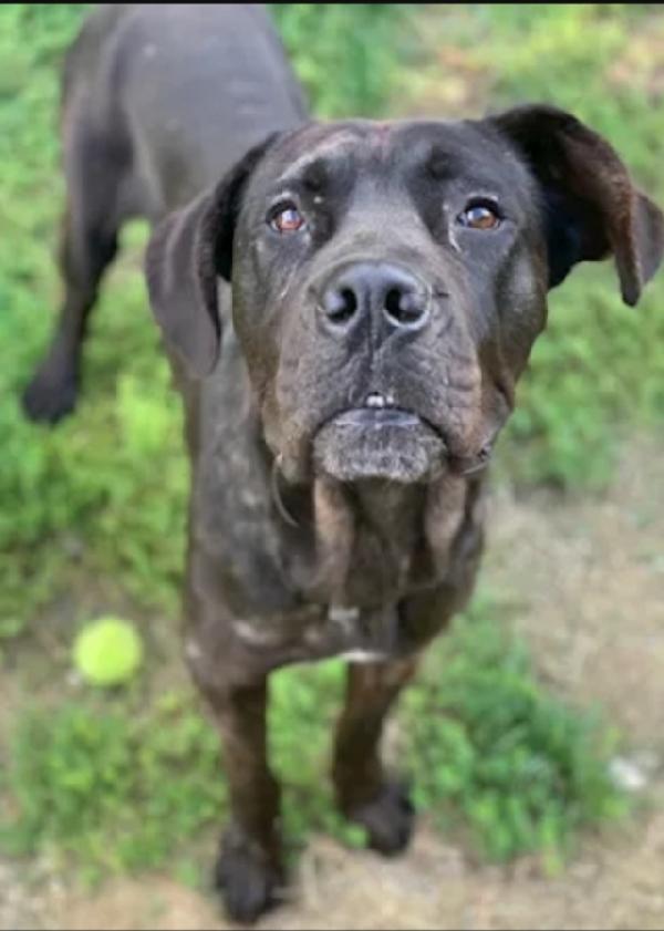 Corso 4anni dal balcone al rifugio.FIRENZE Foto 3