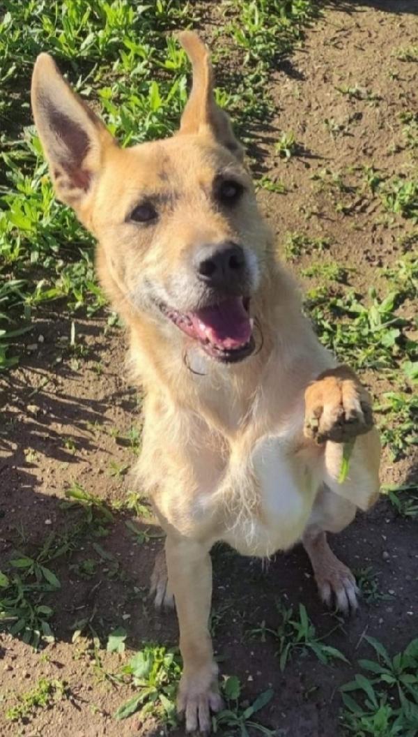 Baffo Adulto Tg Grande Aspetta Da Troppo! Taranto 