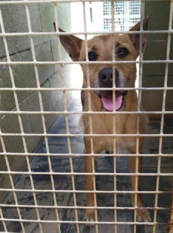 Baffo adulto tg grande aspetta da troppo! TARANTO  Foto 4