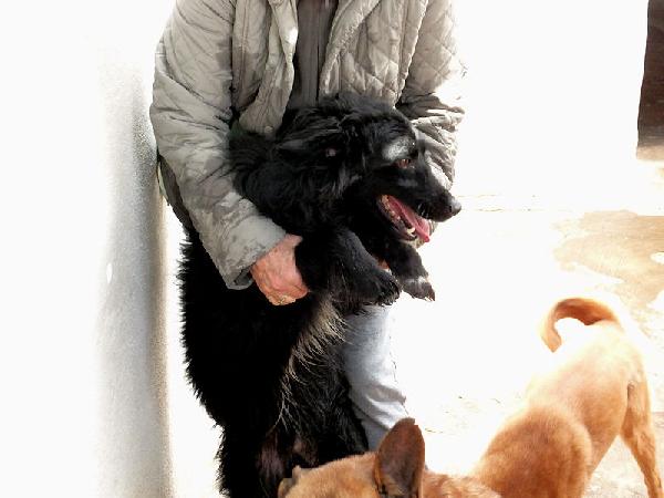 Rupert buono e socievole Foto 7