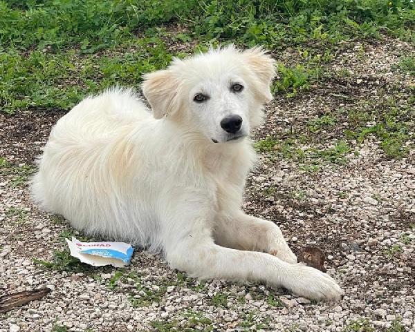 Daniel Cerca Amore ❤️❤️