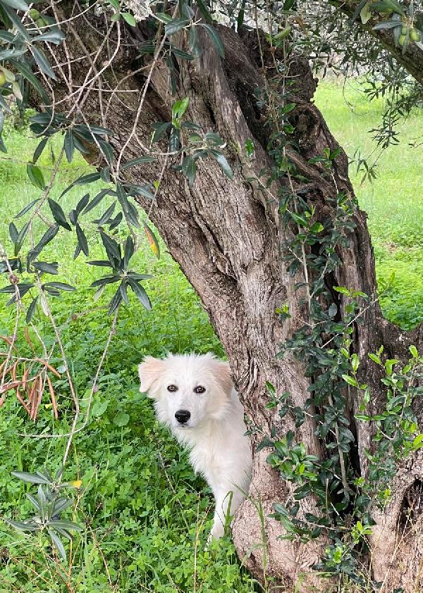 Daniel cerca amore ❤️❤️ Foto 2