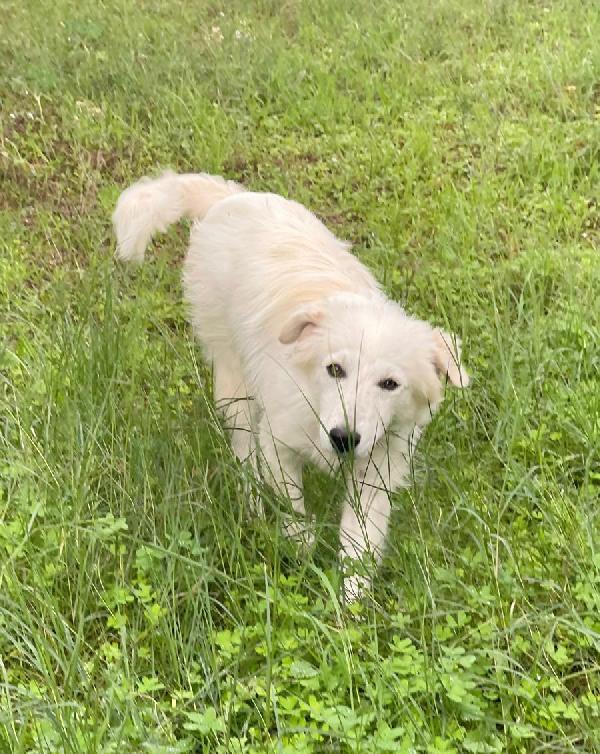 Daniel cerca amore ❤️❤️ Foto 3