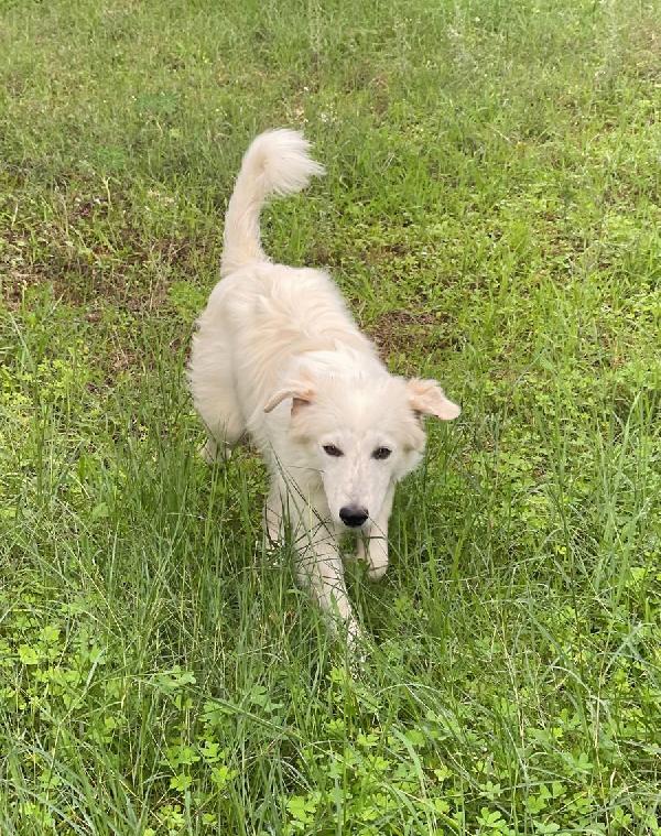 Daniel cerca amore ❤️❤️ Foto 4