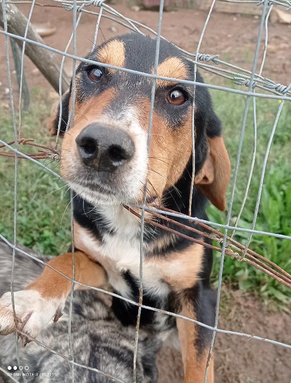 Povero Piccolo ❤️