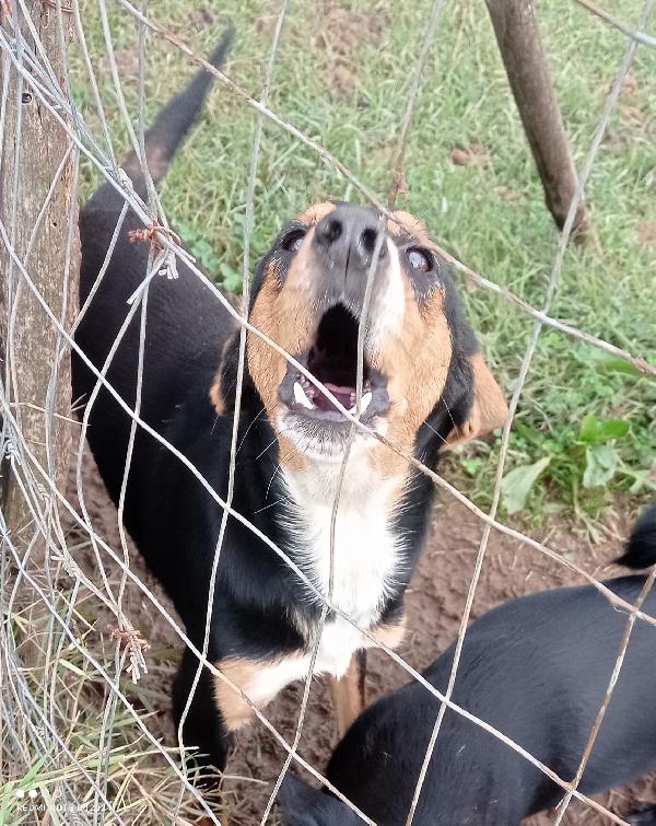 Povero piccolo ❤️ Foto 2