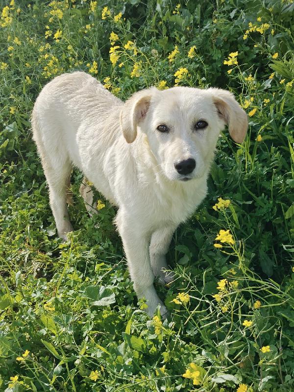 Brenda 5 mesi Foto 2