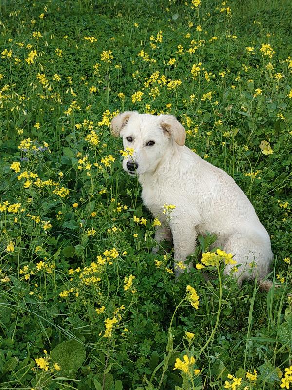 Brenda 5 mesi Foto 3