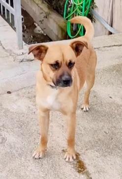 Tonino 16/18Mesi Salito E Tornato In Calabria