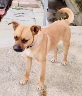 Tonino 16/18mesi salito e tornato in CALABRIA Foto 4