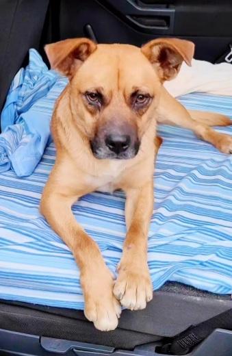 Tonino 16/18mesi salito e tornato in CALABRIA Foto 5