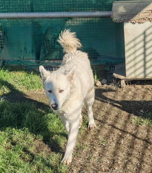 Claudia: 2 Anni Taglia Media Socievole 