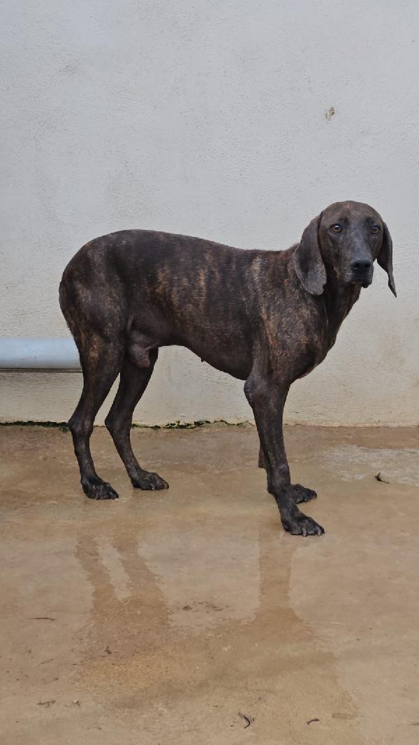 Michele Splendida Anima Bisognosa Cerca Famiglia 